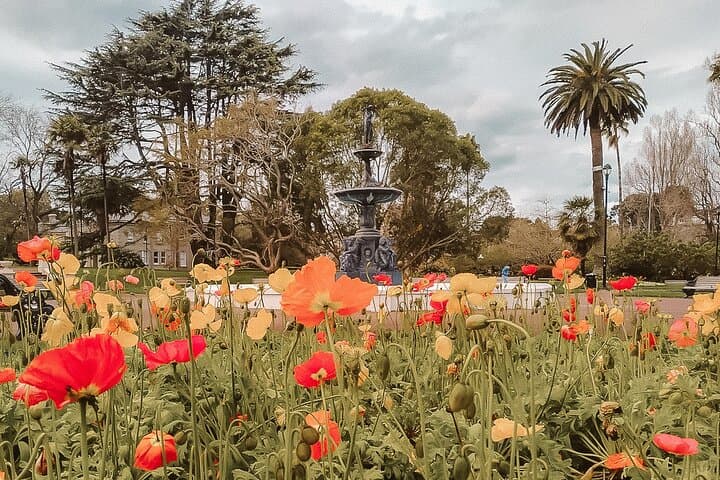 Best of Auckland Private Walking Tour: Maungakiekie, Sky Tower & Waterfront Highlights photo 6