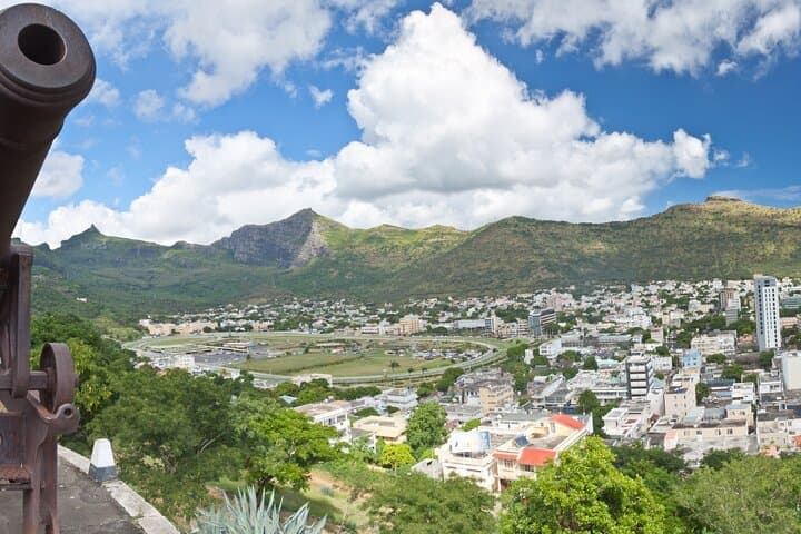 Snorkeling with Giant Turtles and Port Louis: Turtle Encounters, Aquarium & Market Tour photo 3