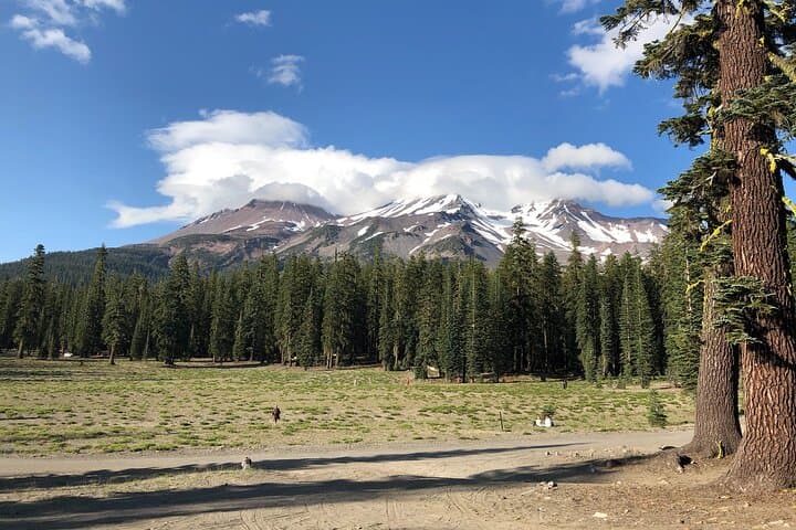 Mount Shasta Sacred Nature Hike: Guided Spiritual & Energy Healing Tour photo 1
