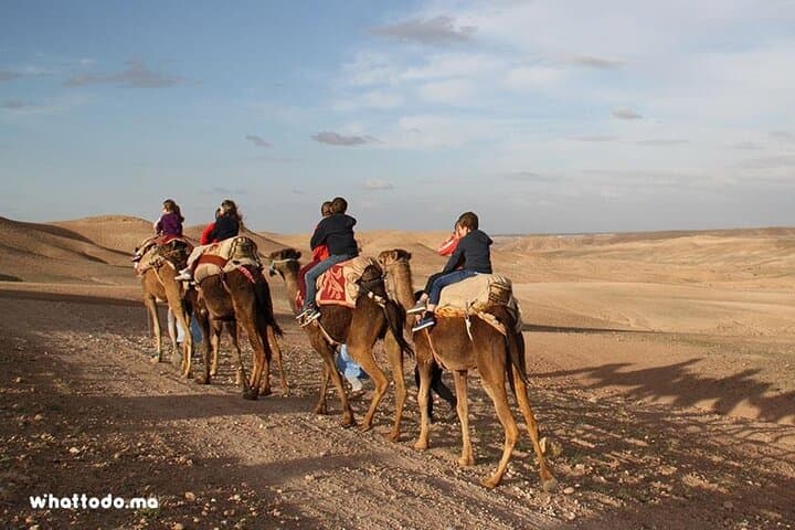 Camel Ride in Agafay Desert from Marrakech — 1-Hour Camel Trek with Atlas Views