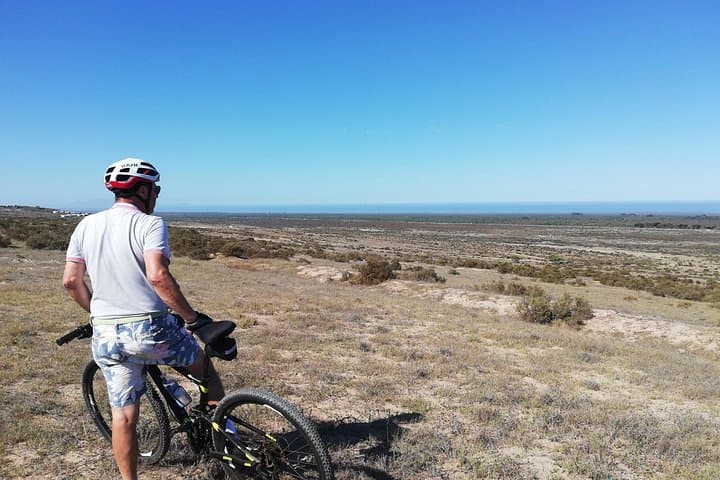 West Coast Safari Cycle & !Khwa ttu San Heritage Experience from Cape Town photo 2