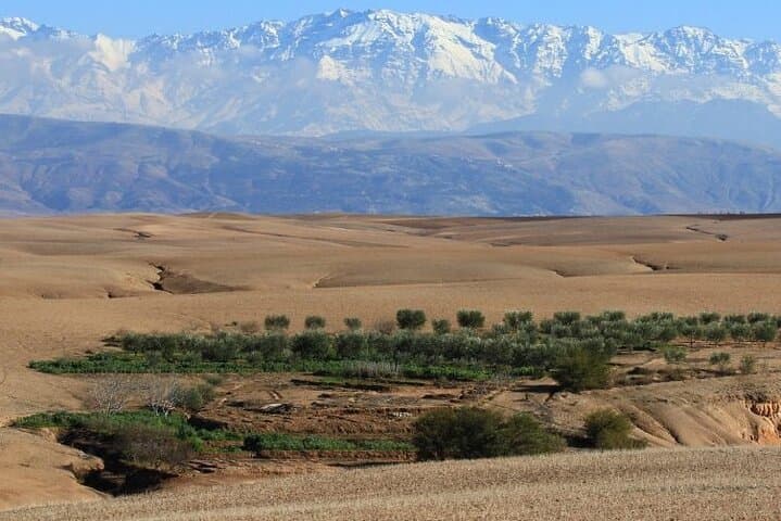 Camel Ride in Agafay Desert from Marrakech — 1-Hour Camel Trek with Atlas Views photo 4