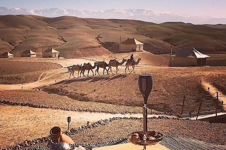 Camel Ride in Agafay Desert from Marrakech — 1-Hour Camel Trek with Atlas Views photo 6
