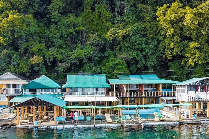Snorkel San Luis: Day Trip from Manila to Batangas Coral Gardens photo 4
