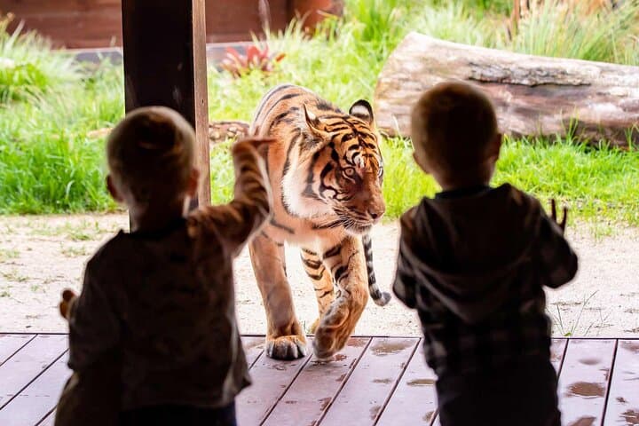 Taronga Zoo & Sydney Harbour Ferry: Complete Visitor Guide photo 3