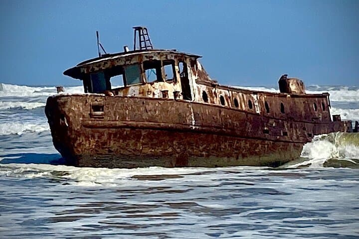 Shipwrecks & Sandwich Harbour Full-Day Coastal Adventure from Walvis Bay photo 2