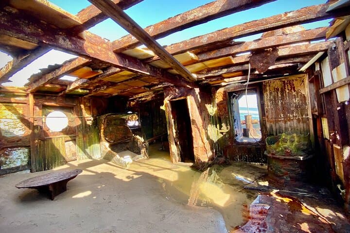 Shipwrecks & Sandwich Harbour Full-Day Coastal Adventure from Walvis Bay photo 3