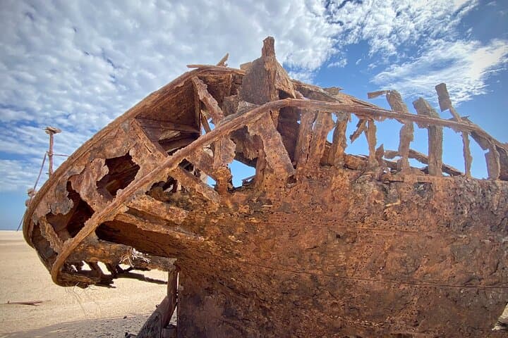 Shipwrecks & Sandwich Harbour Full-Day Coastal Adventure from Walvis Bay photo 5