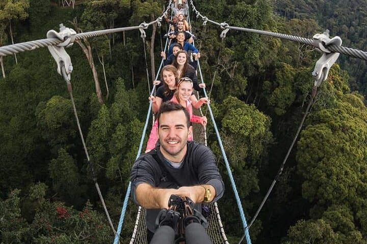 3-Day Nyungwe Chimpanzee Trek & Canopy Walk — Rwanda Rainforest Safari