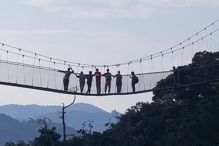 3-Day Nyungwe Chimpanzee Trek & Canopy Walk — Rwanda Rainforest Safari photo 4