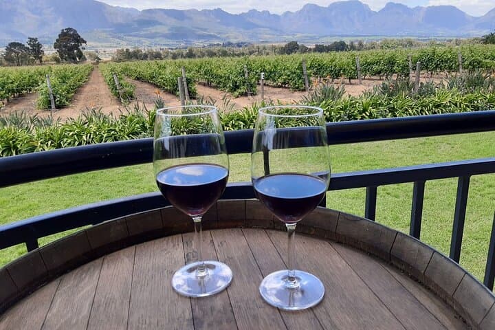 Private Cape Town Wine Tour: Tasting Paarl, Franschhoek & Stellenbosch