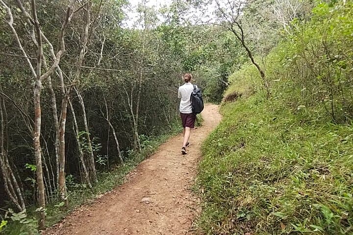 Chicala (Payandé) Waterfalls Day Trip from Ibagué — Swim, Trails & Nature photo 3