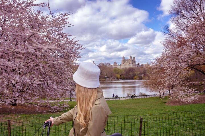 Central Park Bike Rental — 1-Hour Highlights Ride from 56th Street photo 4