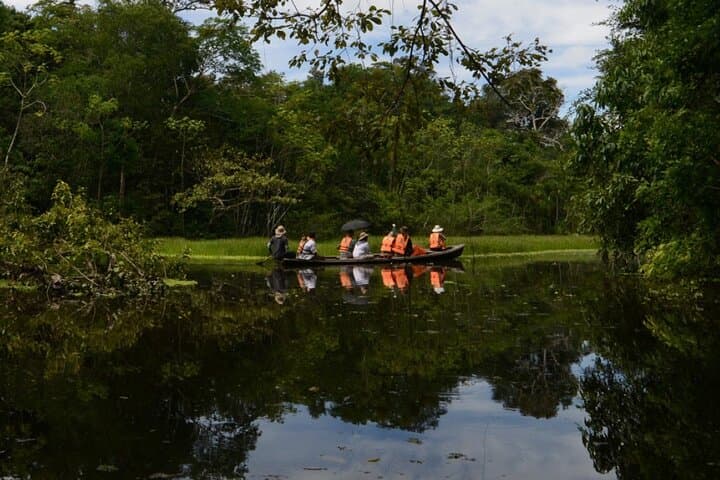 4-Day Private Amazon Jungle Tour from Bogotá to Calanoa Reserve — Immersive Leticia Jungle Escape