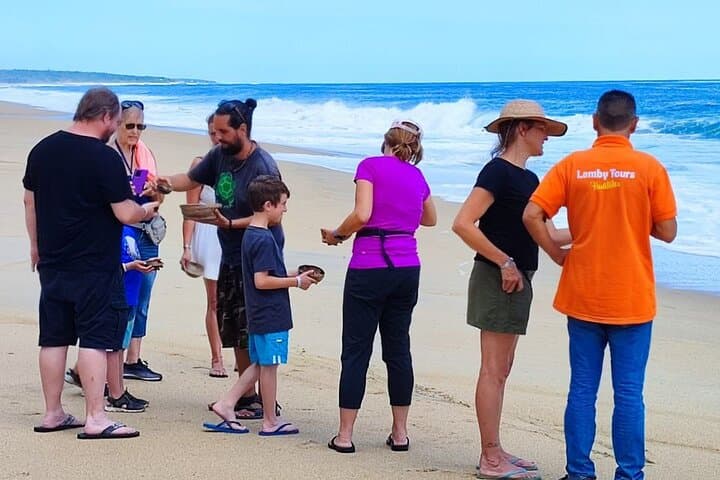 Escobilla Turtle Release: Private Guided Conservation Tour from Puerto Escondido photo 4