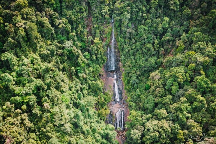 Daintree Waterfall Walk, Secluded Swim & Gourmet Rainforest Lunch photo 4