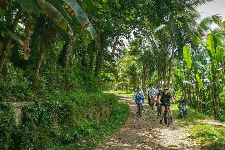 Kintamani to Ubud Rural Eco Bike Tour — Rice Fields, Coffee & Waterfalls photo 2