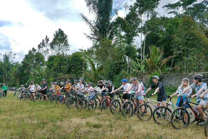 Kintamani to Ubud Rural Eco Bike Tour — Rice Fields, Coffee & Waterfalls photo 6