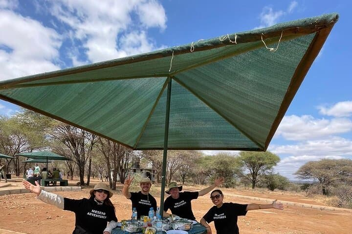 Essence of Tanzania: 6-Day Northern Circuit Safari from Arusha photo 5
