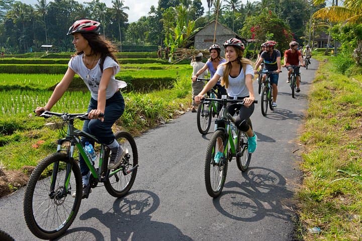 Downhill Cycling from Mount Batur: 16km Bali Mountain Bike Tour photo 2