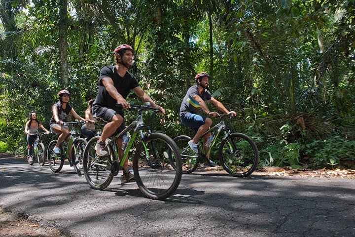 Downhill Cycling from Mount Batur: 16km Bali Mountain Bike Tour photo 4