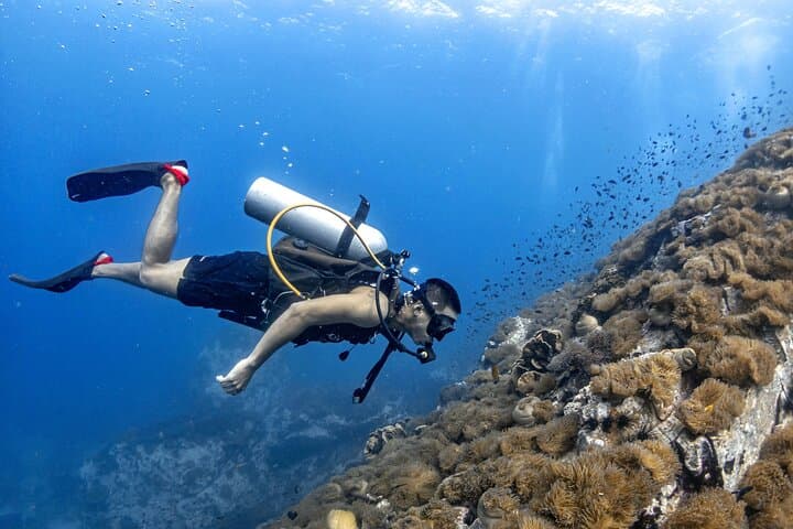 Try Scuba on Koh Tao — Basic Diver One‑Day SSI Experience
