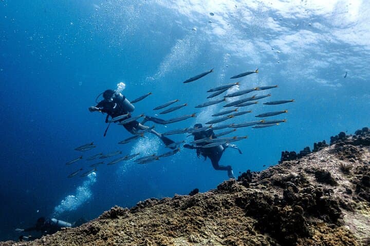 Try Scuba on Koh Tao — Basic Diver One‑Day SSI Experience photo 2
