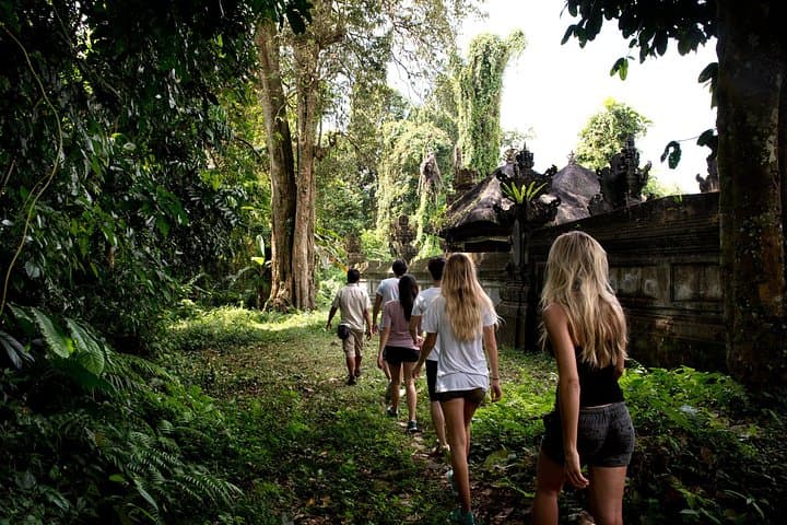 Taro Ubud Tropical Trekking: Highland Trails, Villages & Gourmet Lunch photo 3