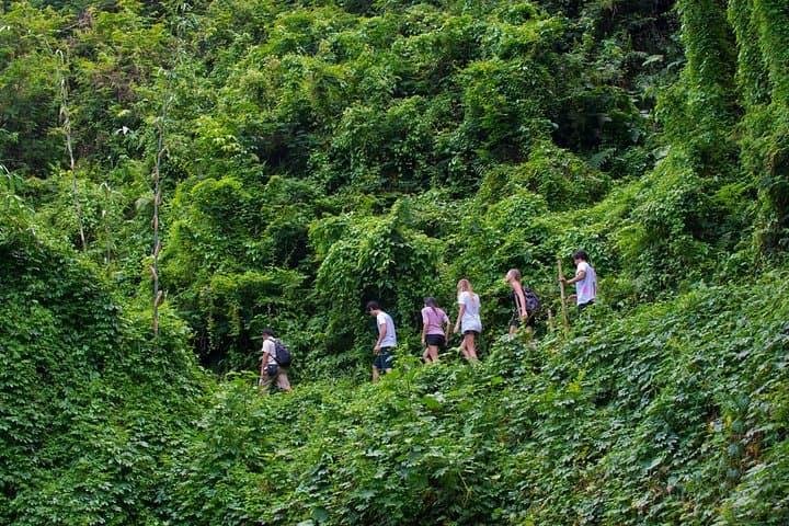 Taro Ubud Tropical Trekking: Highland Trails, Villages & Gourmet Lunch photo 4