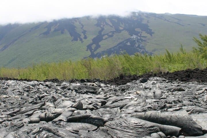Full-Day Reunion Island Scenic Tour: Waterfalls, Volcano Coast & Creole Breakfast photo 2