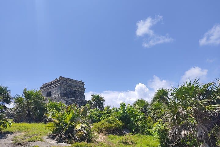 Casa Tortugas Cenotes & Tulum Ruins Full-Day Adventure from Riviera Maya photo 5