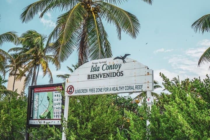 Isla Contoy & Isla Mujeres Day Trip from Cancun — Snorkel Ixlache and Protected Bird Island photo 2