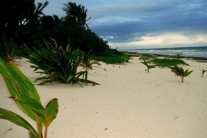 Sian Ka'an Biosphere Reserve Boat & Snorkel Safari from Tulum photo 2