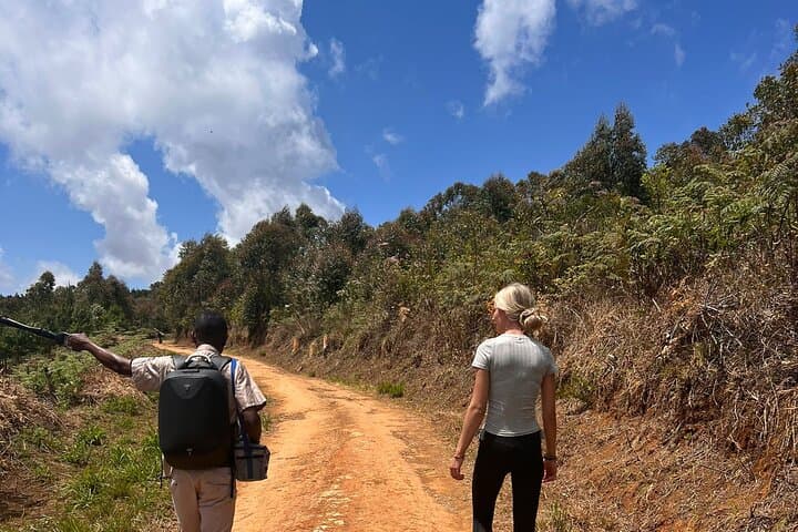 Zomba Plateau Day Hike: Queen's View, William's Falls & Trout Farm photo 4