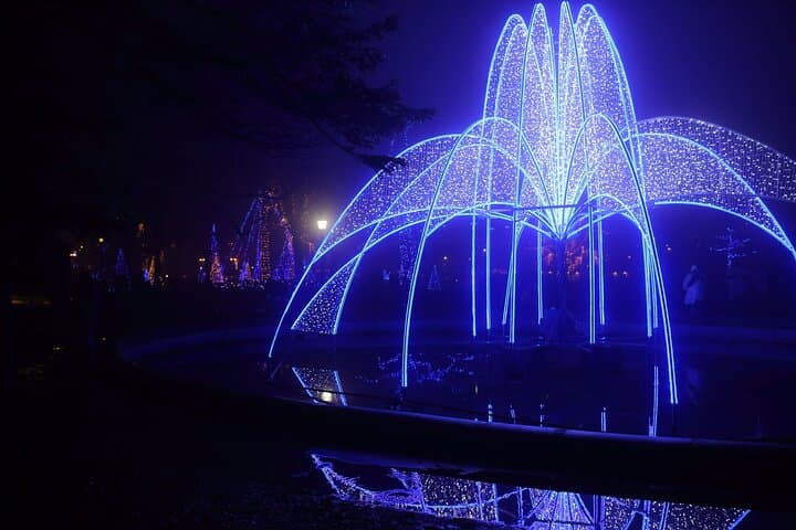 niagara-falls-usa-canada-winter-wonderland-cross-border-tour photo 2