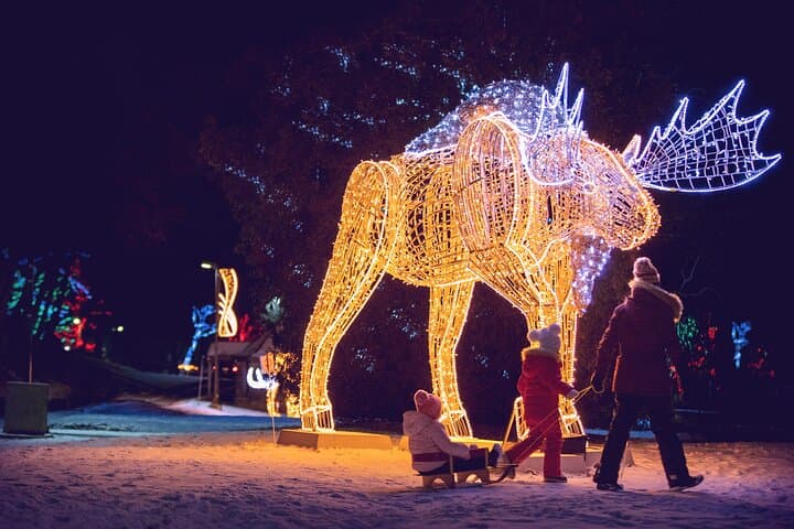 niagara-falls-usa-canada-winter-wonderland-cross-border-tour photo 6