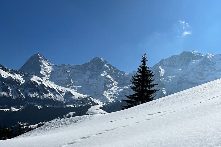 Private Jungfrau Day Trip — Lauterbrunnen, Mürren & Gimmelwald photo 4