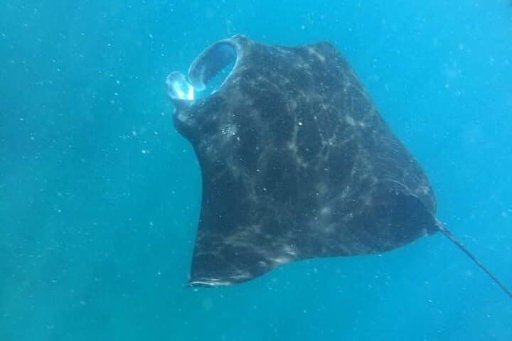 Discover Nusa Penida: Snorkeling Adventure & Island Exploration photo 6