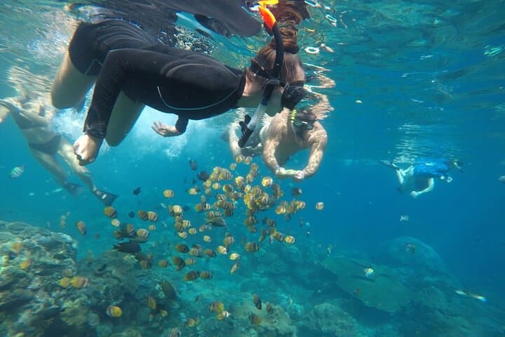 Discover Nusa Penida: Snorkeling Adventure & Island Exploration photo 3