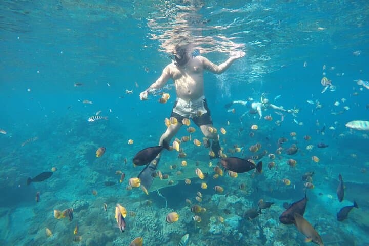 Discover Nusa Penida: Snorkeling Adventure & Island Exploration photo 4