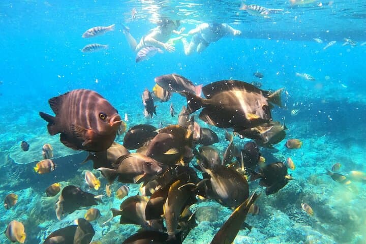 Discover Nusa Penida: Snorkeling Adventure & Island Exploration photo 5