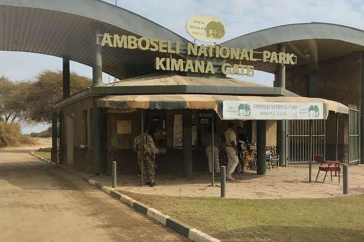 3-Day Amboseli Safari from Nairobi — Kilimanjaro-Backed Wildlife Expedition photo 2