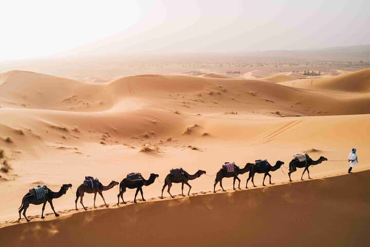 3-Day Sahara Desert Tour from Fes to Marrakech: Camel Trek, Erg Chebbi & Ait Ben Haddou photo 5