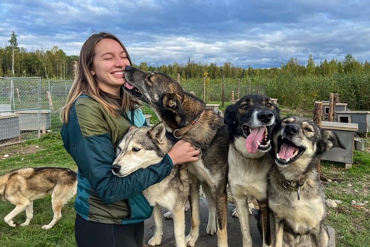 Meet Alaska's Sled Dogs: Kennel Tour at Susitna Sled Dog Adventures photo 1