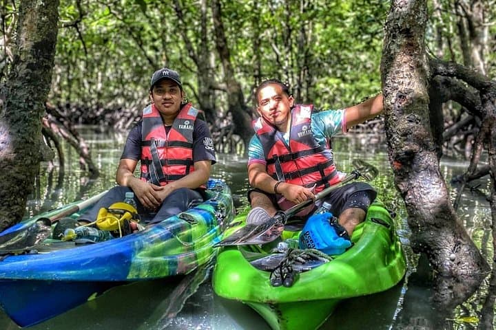 Half-Day Mangrove Kayaking in Langkawi — Paddle the Kilim Mangroves photo 5