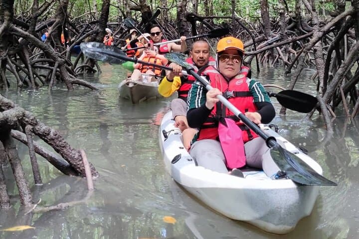 Half-Day Mangrove Kayaking in Langkawi — Paddle the Kilim Mangroves photo 6