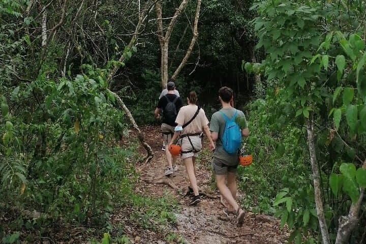 Hike, Zipline and Rappel at Punta Laguna: Tulum Monkey Sanctuary Adventure