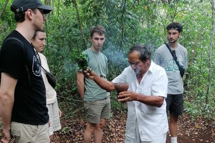 Hike, Zipline and Rappel at Punta Laguna: Tulum Monkey Sanctuary Adventure photo 4