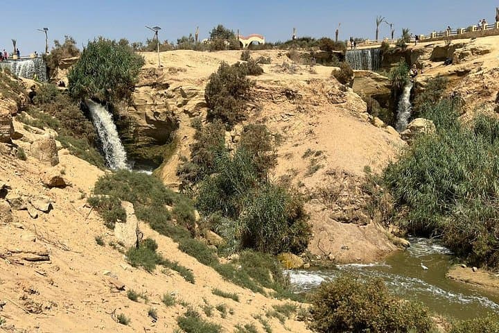 Fayoum Oasis Safari Day Trip from Cairo — Wadi Hitan & Wadi El Rayan photo 3