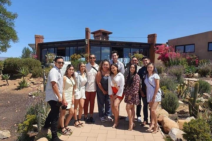 Shared Guadalupe Wine Valley Tour — Valle de Guadalupe Tastings from Ensenada